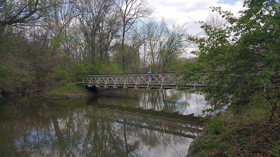 Phillips Park Trails