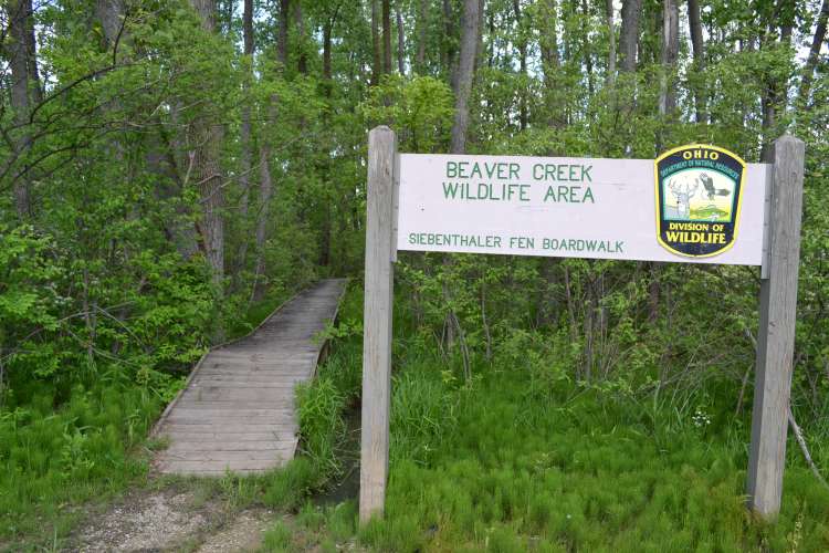 The Beavercreek Wetlands