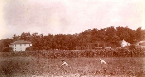 Rear of the 2nd K of P building on Factory Road