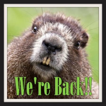 What A Long, Strange Trip It's Been...