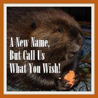 Just Don't Call Us Late For Dinner...